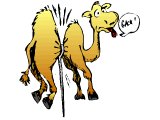 A Camel trying to get through the eye of a needle